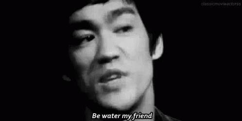 “Water can flow,  or crash.  Be water my friend.”