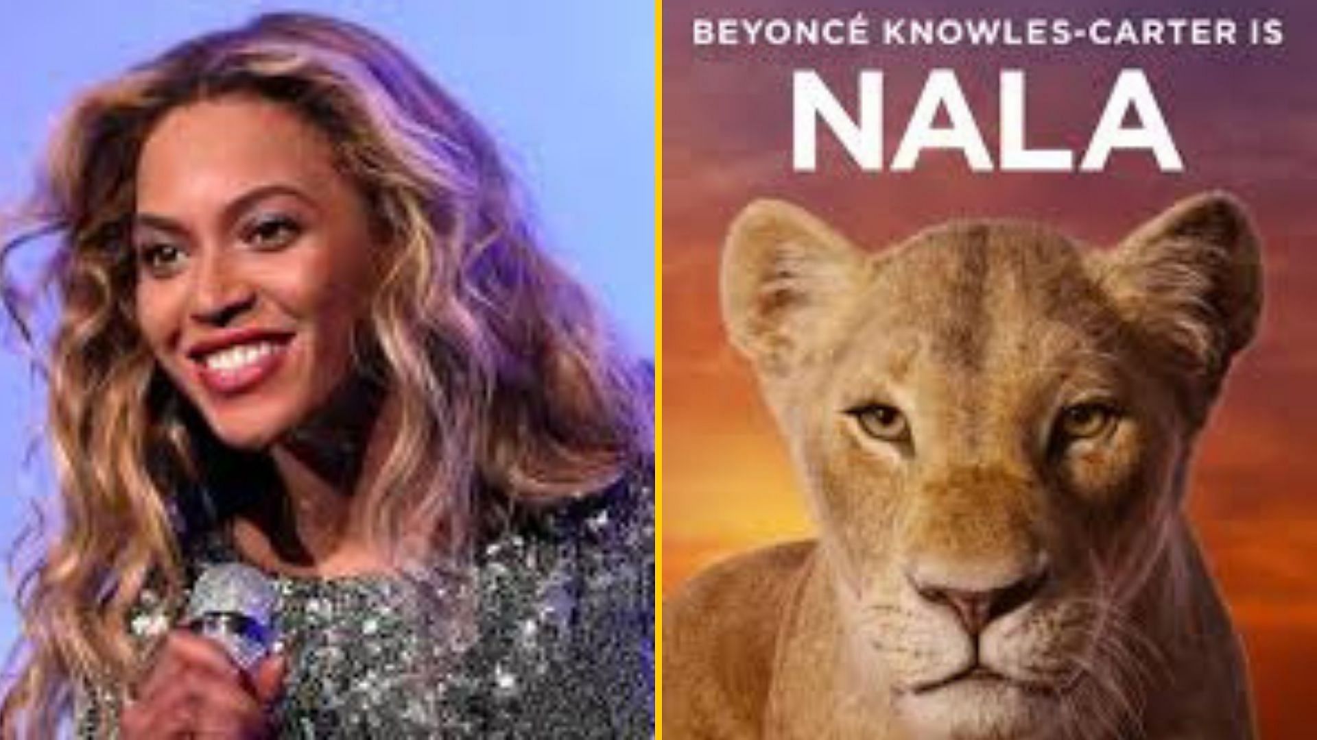 The Lion King 19 Movie From Beyonce To Shah Rukh Khan Here S A Complete List Of Actors Who Ll Be Voicing For The Lion King In Hindi And English