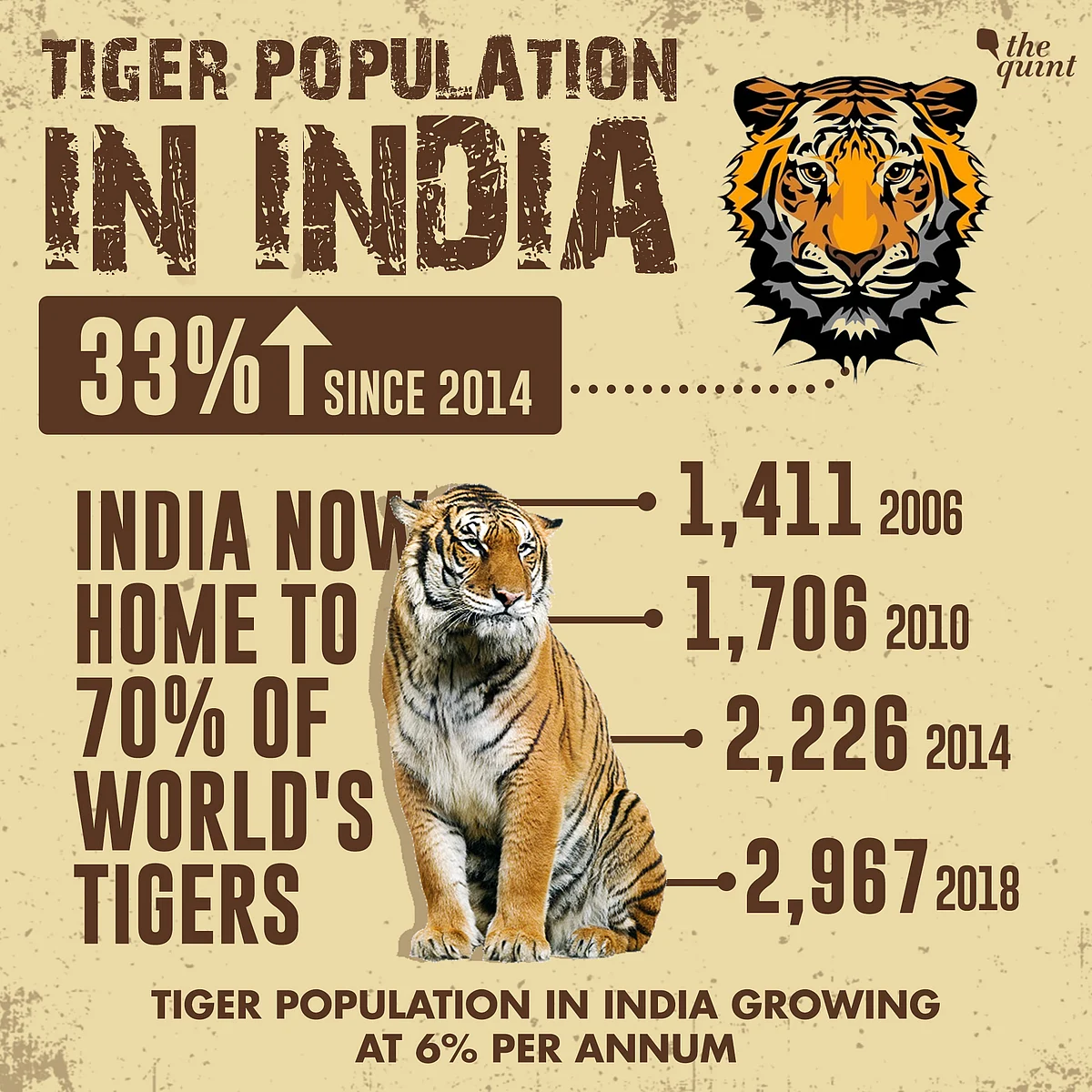 International Tiger Day: Tiger Population Rises to 2,967, Up 33%