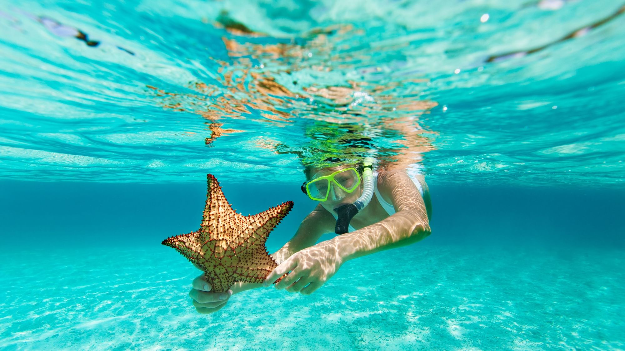 Snorkelling allows you to experience the mysterious marine life while being on top of the water.