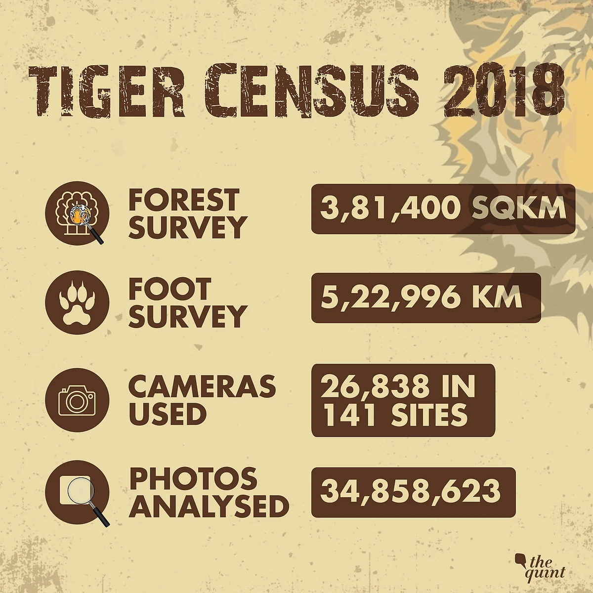 International Tiger Day: Tiger Population Rises to 2,967, Up 33%
