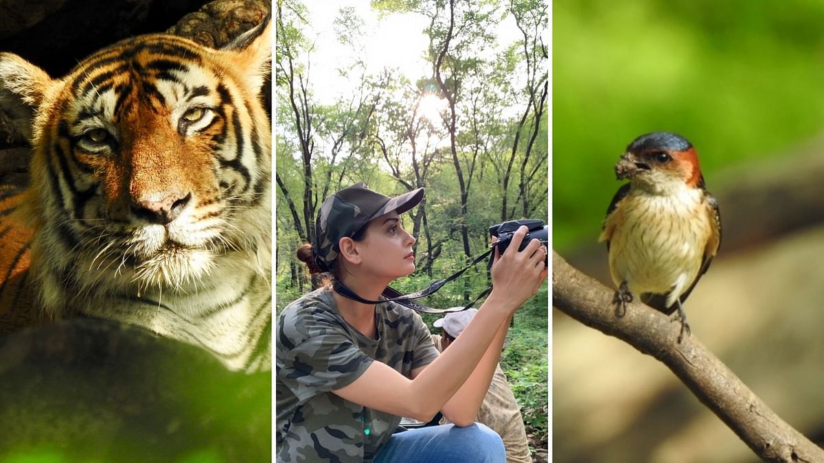 In Pics: Dia Mirza Takes Us Into the Wild Groves of Ranthambore