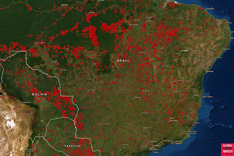 Fire map showing active fires for the week starting Aug. 13, 2019, in the Brazilian Amazon using VIIRS and MODIS satellite data.