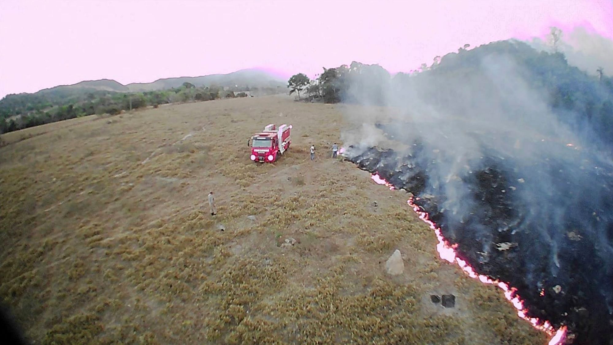 The world’s largest tropical forest has been burning for the last two weeks at an alarming rate.