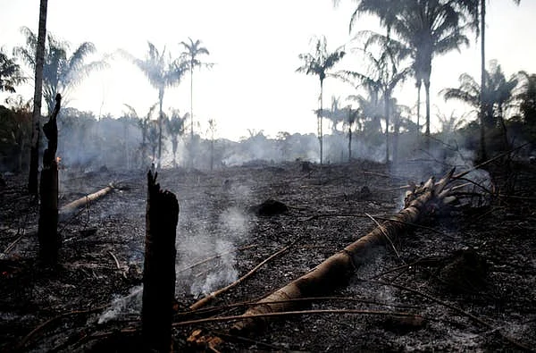 Amazon jungle recently burned by loggers and farmers in Iranduba, Amazonas state, Brazil, 20 August 2019.