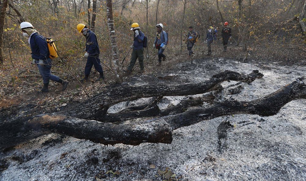 Volunteers walk past the area being scorched by Amazon fires.