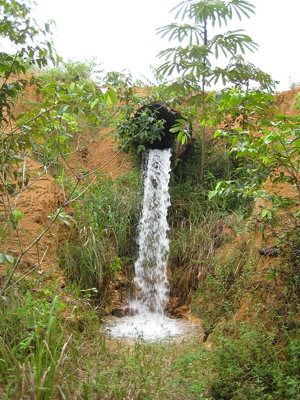 Perched culverts disrupt the water flow of Amazonian streams, isolating fish. 