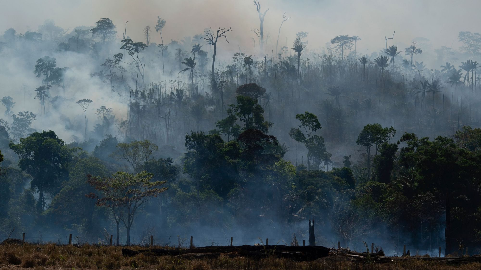 The Amazon forest scorched by fires, in a photograph from 27 August 2019.