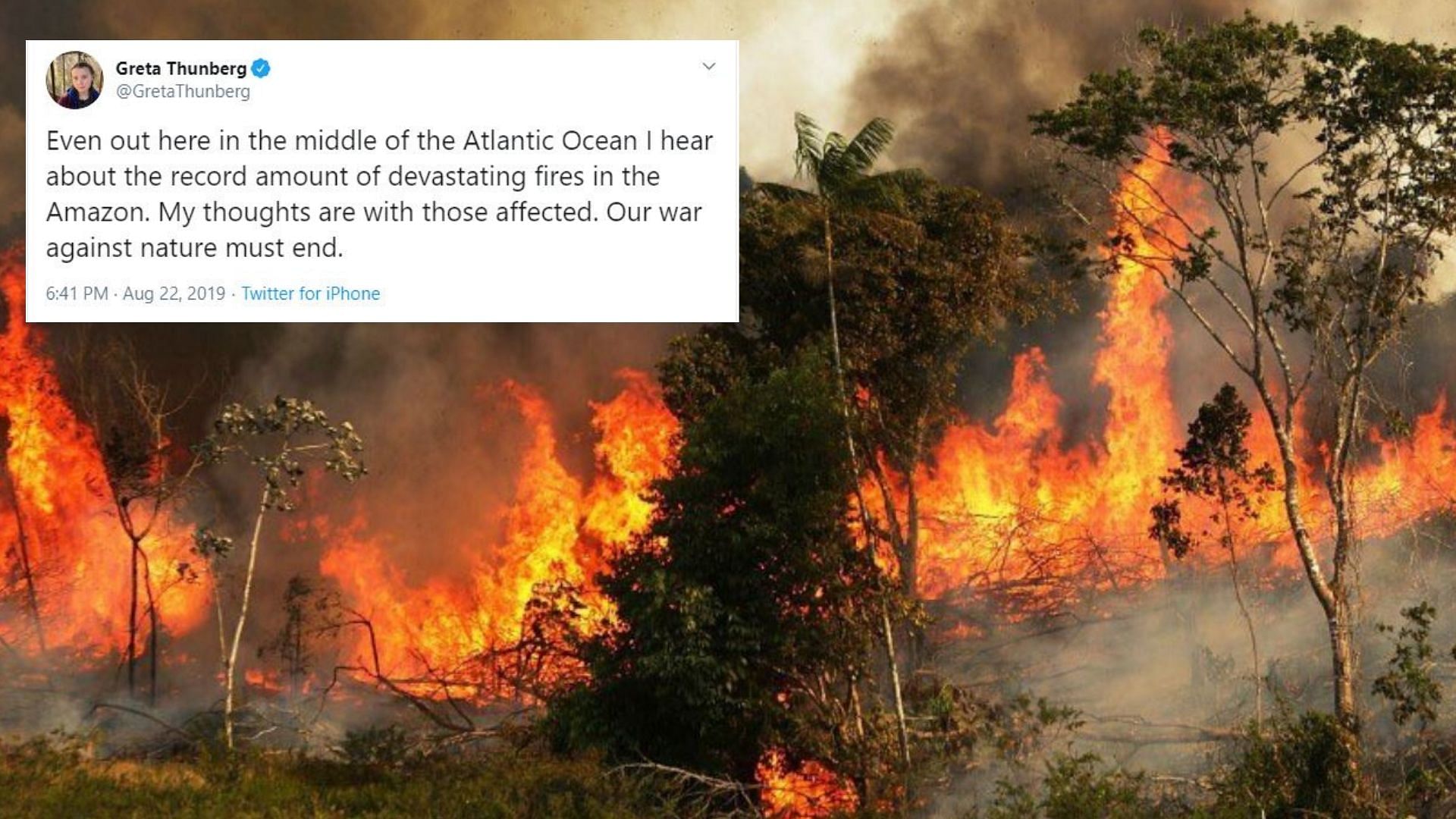 Fire in the Amazon rainforest has caused panic and alarm across the globe