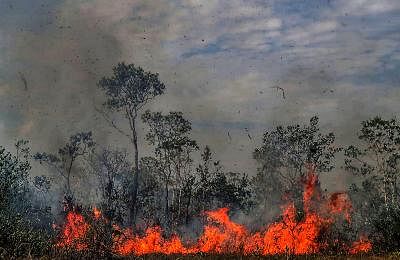 MANICORE, Aug. 28, 2019 (Xinhua) -- Photo taken on Aug. 26, 2019 shows a fire consuming trees in Manicore, the state of Amazonas, Brazil. BRAZIL OUT (Gabriela Biro/Agencia Estado/Handout via Xinhua/IANS)