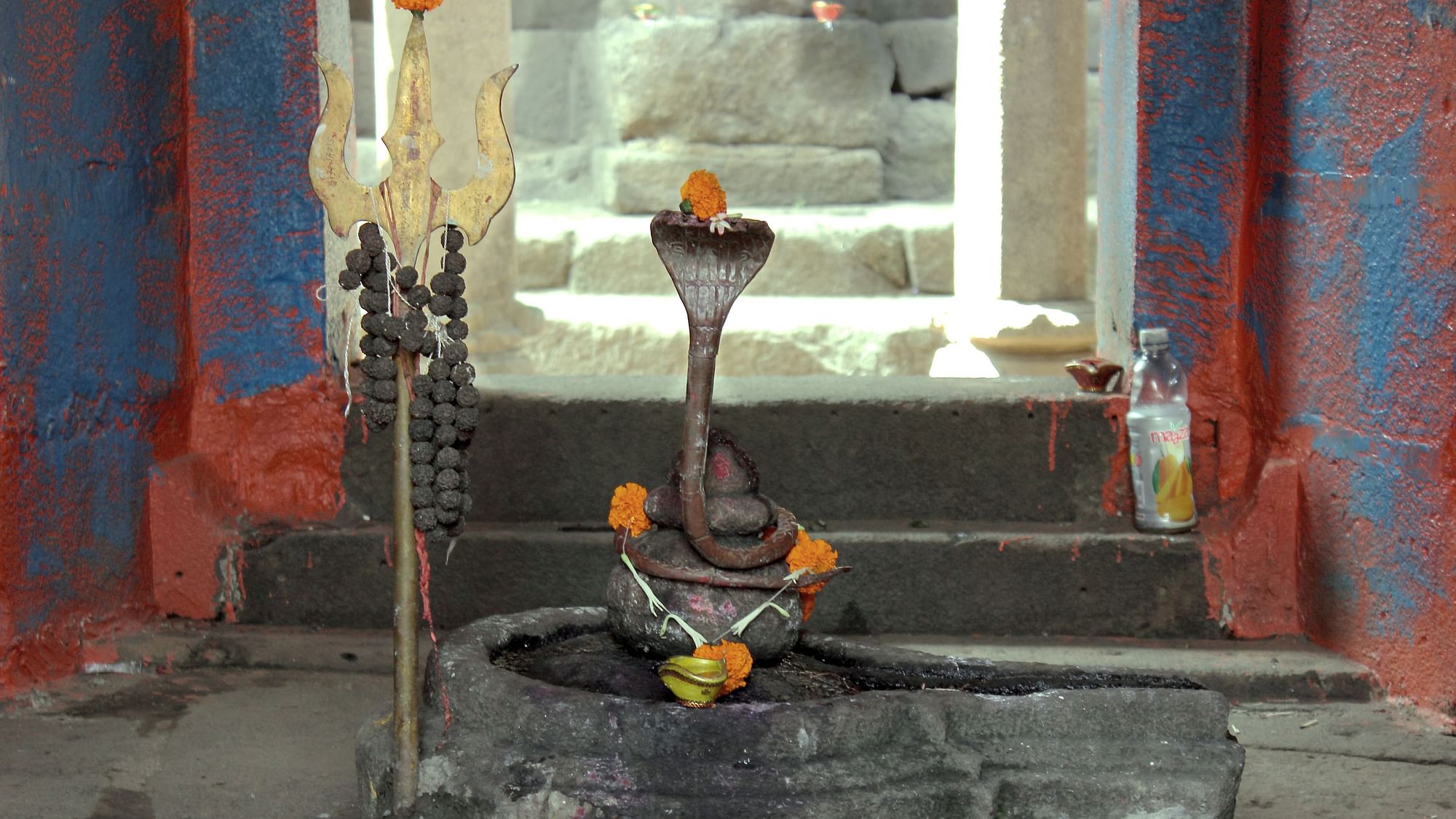 Naga Panchami 2019 Date, Time in India: Nag Panchami is celebrated on the fifth day of Shukla Paksha in the month of Sawan.