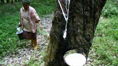 Tree sap which is made into rubber. Image for representational purposes.