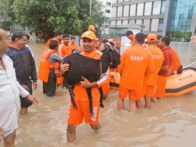 Vadodara: NDRF personnel carry out evacuation drive in Gujarat