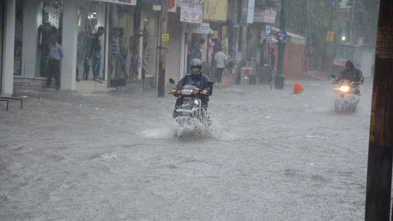 Vadodara in central Gujarat received nearly 500 mm rainfall in 24 hours, ending at 8 am on Thursday, 1 August.