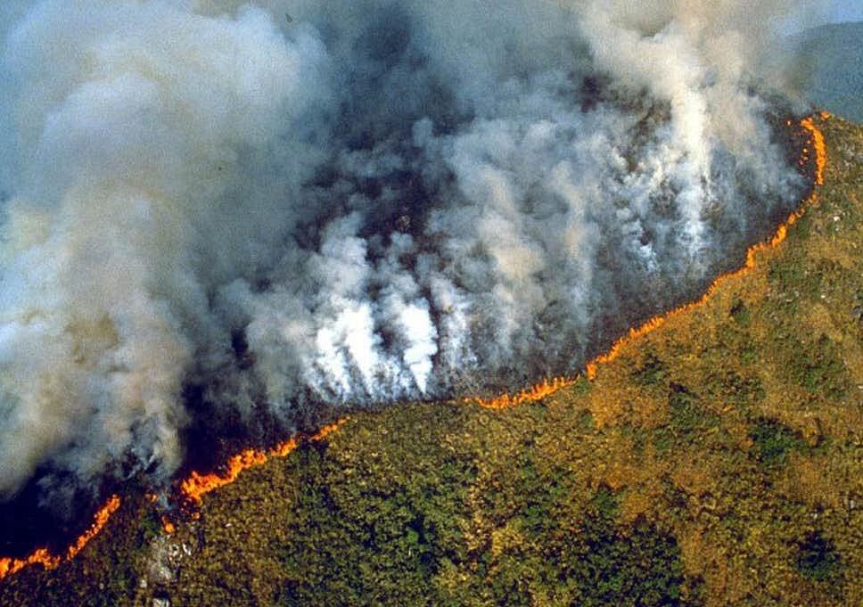 A lot of the pictures that are being circulated online as Amazon forest fire are either old or unrelated.
