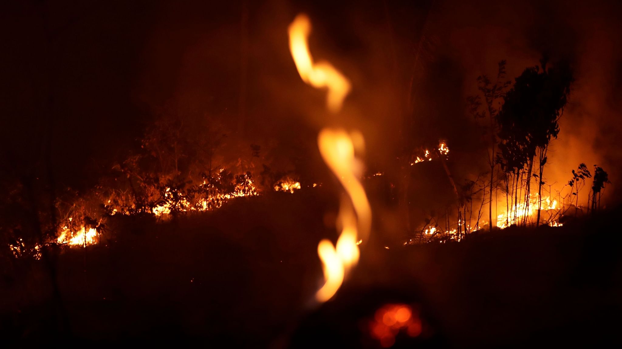 Чем отличается пламя от огня. Fire on the Amazon. Burn's Night.