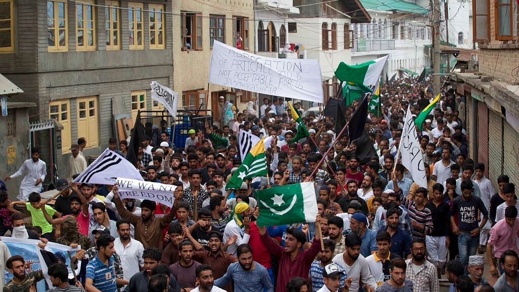 After U-Turn on Srinagar Protest, Govt Now Admits To Using Pellets