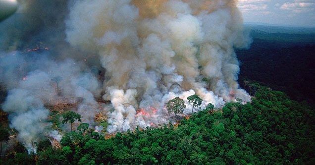 A lot of the pictures that are being circulated online as Amazon forest fire are either old or unrelated.