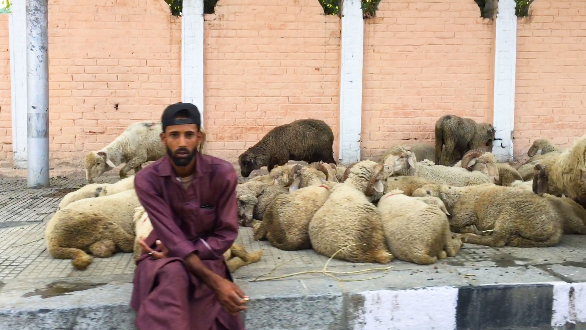 This year, Bakrid in Kashmir remains grim, especially for cattle traders.