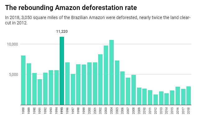 Researchers explain how farming, big infra projects and roads drive the deforestation that’s killing the Amazon.