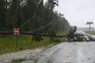 WASHINGTON, Sept. 15, 2018 (Xinhua) -- A fallen tree lies on the side of a road near coastline, in North Carolina, the United States, on Sept. 14, 2018. At least five people have been killed so far in the aftermath of Hurricane Florence which was downgraded Friday afternoon to a tropical storm with winds of 70 mph (110 km/h) along the U.S. East Coast. (Xinhua/Liu Jie/IANS)