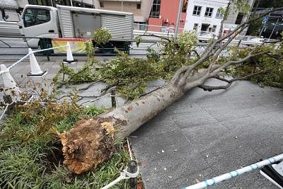 30 injured after tropical storm hits Japan. (Xinhua/Du Xiaoyi/IANS)
