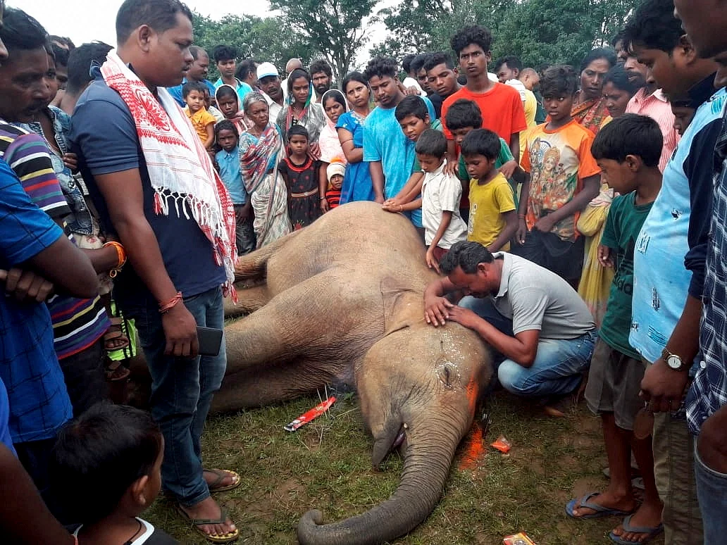 People mourn after a wild elephant was electrocuted in Ranchi district. 
