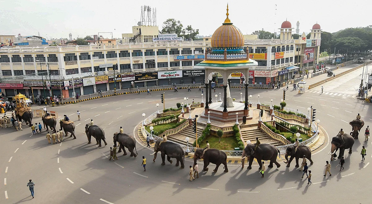 Dasara elephants are seen during a practice parade in Mysore city. 