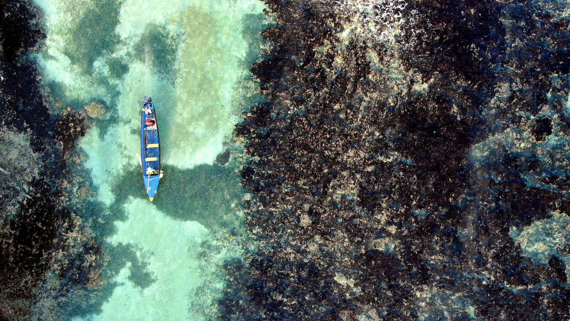 White River Fish Sanctuary wardens patrol through the reef of the sanctuary’s no-take zone in Ocho Rios, Jamaica.&nbsp;