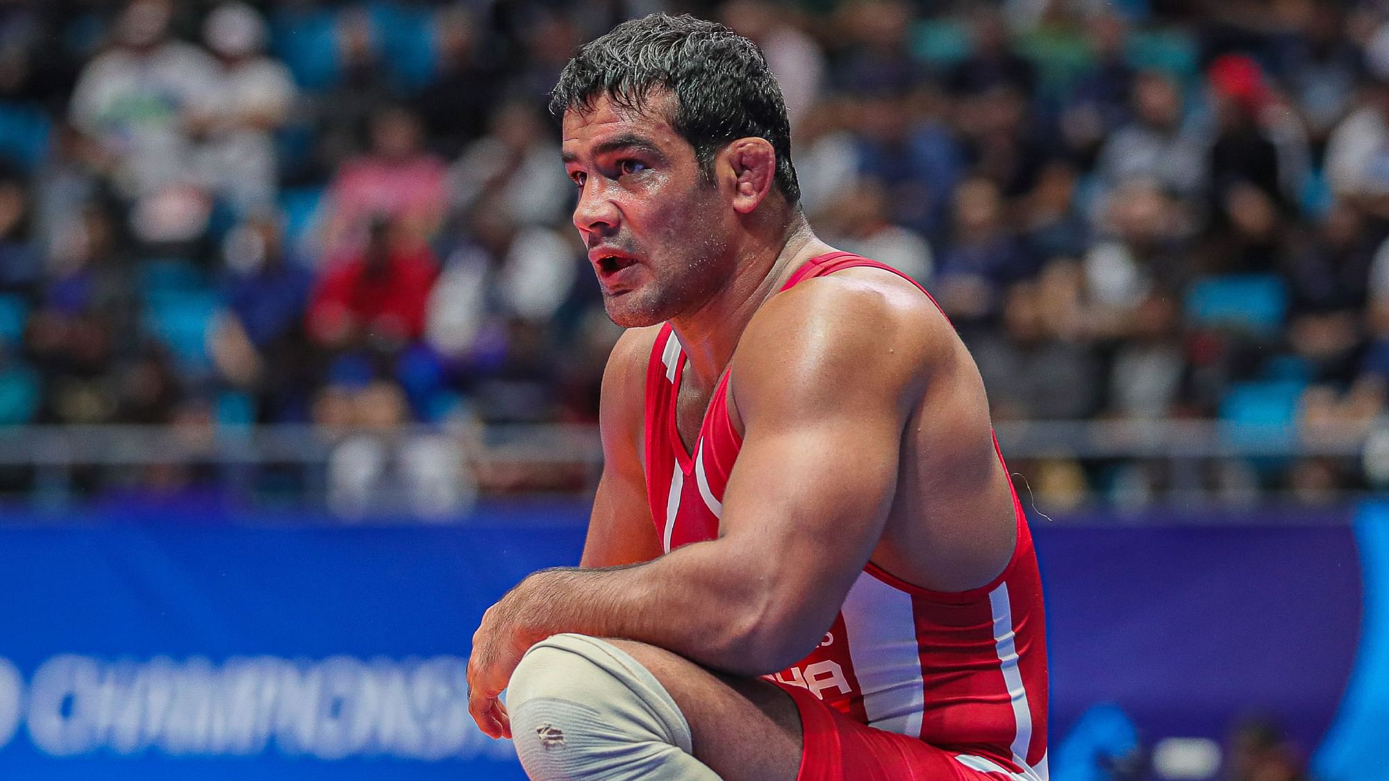 Veteran wrestler Sushil Kumar has been named in the FIR by police for an incident at the Chhatrasal Stadium complex.