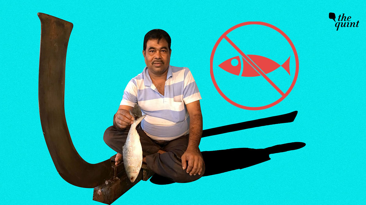 In Kolkata, It’s Vegans Vs Fish-lovers Right Before Durga Puja