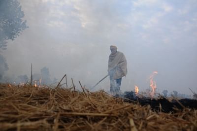 A farmer burns paddy stubble on the outskirts of Amritsar. (File Photo: IANS)