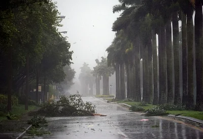 MIAMI, Sept. 10, 2017 (Xinhua) -- Trees and branches are seen on a street after being torn down by strong winds as hurricane Irma arrives, in Miami, Florida, the United States, on Sept. 10, 2017. Category Four Hurricane Irma on Sunday morning made landfall in the Florida Keys with gust wind speed of 171 km/h, according to the National Hurricane Center (NHC). (Xinhua/Yin Bogu/IANS)