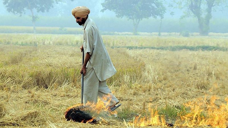 A farmer burns paddy crop residue in south east Punjab.