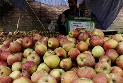 Shopian: Farmers pack apples before exporting them to foreign countries in Shopian district of Jammu and Kashmir on Nov 18, 2014. (Photo: IANS)