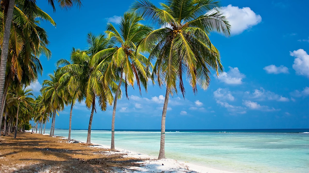 Airtel 4G Services in Lakshadweep Islands Top 5 Places To Visit In