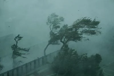 HONG KONG, Sept. 16, 2018 (Xinhua) -- Photo taken on Sept. 16, 2018 shows trees in the wind on the seaside in Hong Kong, south China. The Hong Kong Observatory issued the No. 10 hurricane signal, the top level warning, at 9:40 a.m. on Sunday, as severe typhoon Mangkhut is near. (Xinhua/Wang Shen/IANS)