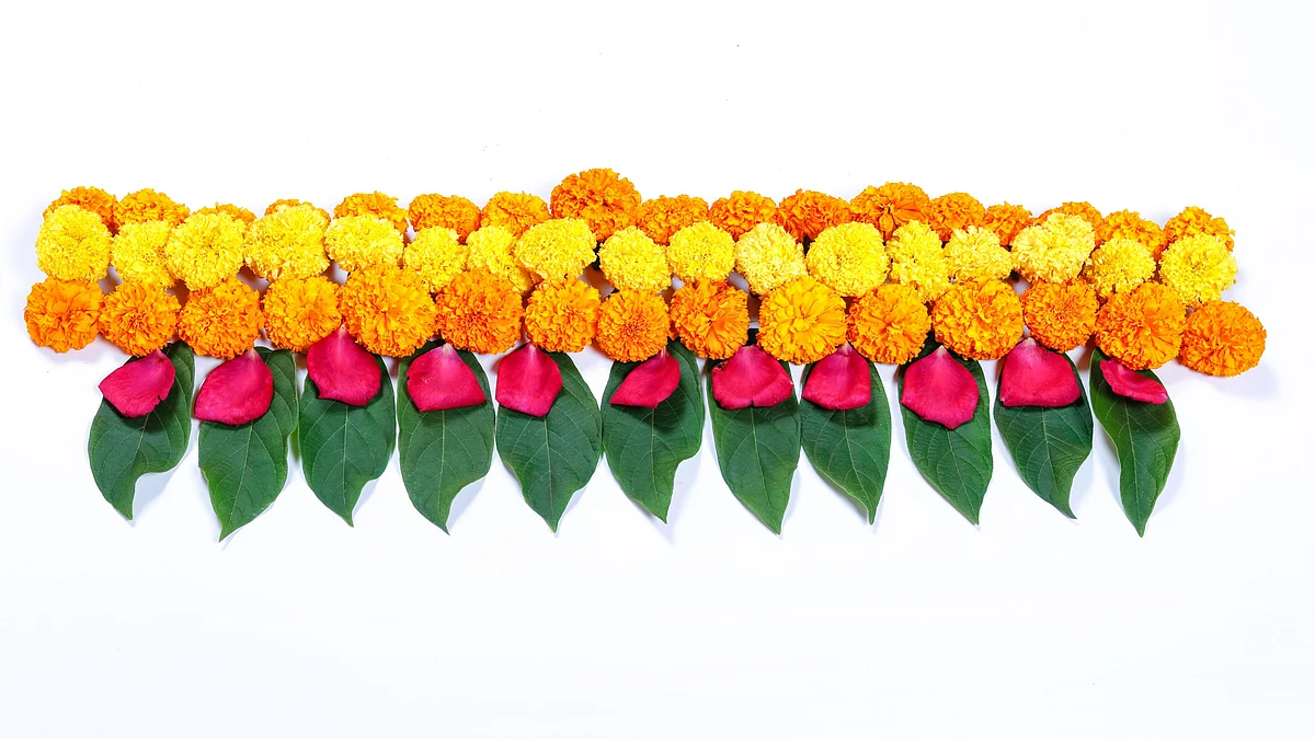 Use beautiful bandhanwars to decorate your house.