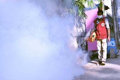 DHAKA, Aug. 18, 2019 (Xinhua) -- A worker sprays anti-mosquito fog in an attempt to control dengue fever in Dhaka, Bangladesh, on Aug. 18, 2019. The Bangladeshi government Sunday raised the probable dengue death toll to 70 in the country so far this fever season and has asked state agencies for more coordinated efforts to rein in the outbreak of the disease which is transmitted by several species of mosquito within the genus Aedes. (Str/Xinhua/IANS)