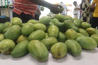 New Delhi: Mangoes on sale at a Mango Festival in New Delhi on June 22, 2019. (Photo: Bidesh Manna/IANS)