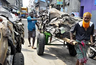 DHAKA, Oct. 8, 2015 (Xinhua) -- Laborers transport leather at Hazaribagh in Dhaka, Bangladesh, Oct. 7, 2015. Bangladesh