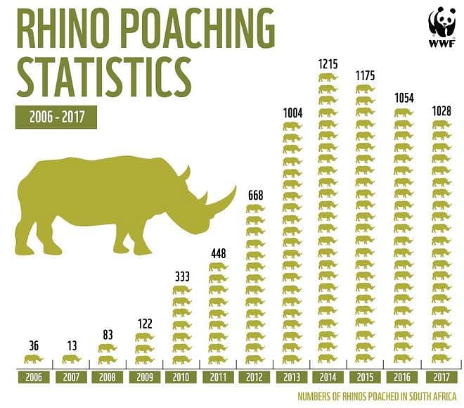 On World Rhino Day: With 3 of its species ‘critically endangered’, here’s why you should should care.
