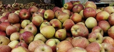 Apples. (File Photo: IANS)