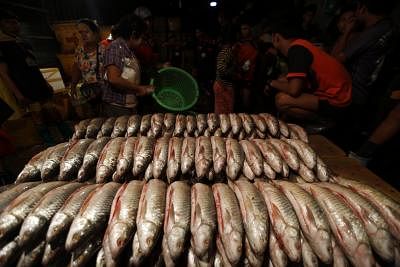 Fish. (Xinhua/U Aung/IANS)