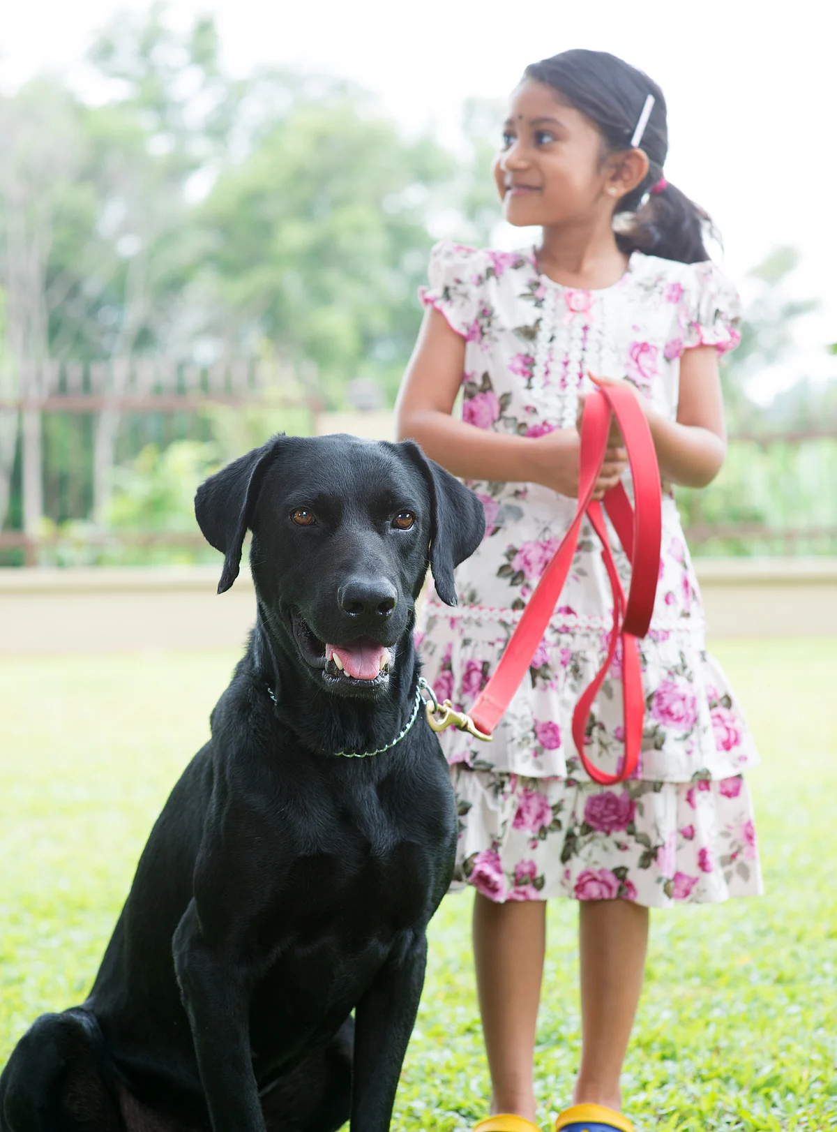 Five Things We All Love to Choose Together as a Family
