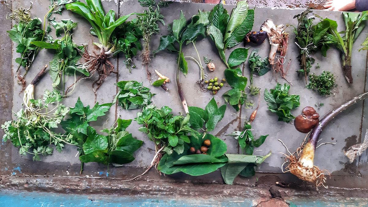 Foraging for a greater taste. How Indians are turning back to the roots and embracing their food history.  