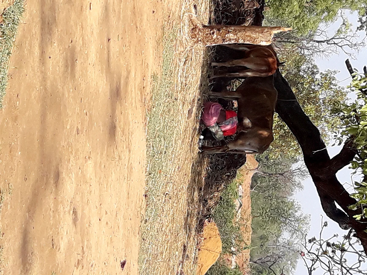 Sadhni going about her daily chores.