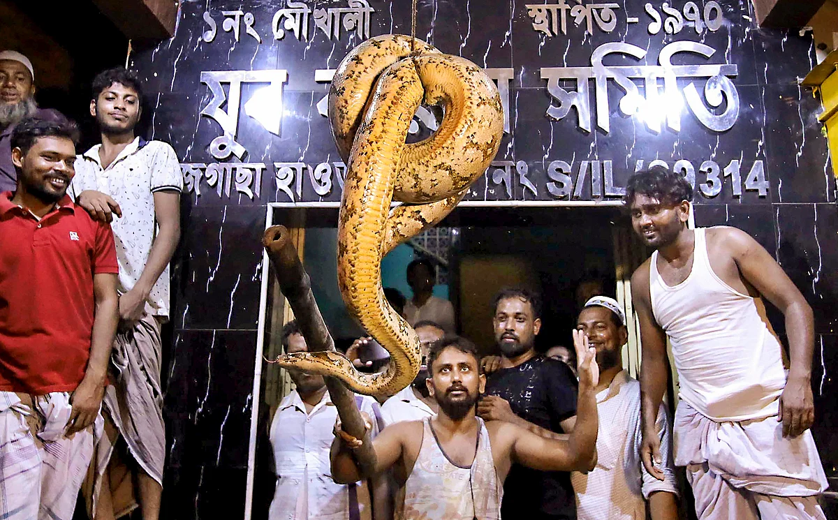 Residents show a rarte python, which was recovered from Jagacha Moukhali in Howrah, West Bengal.