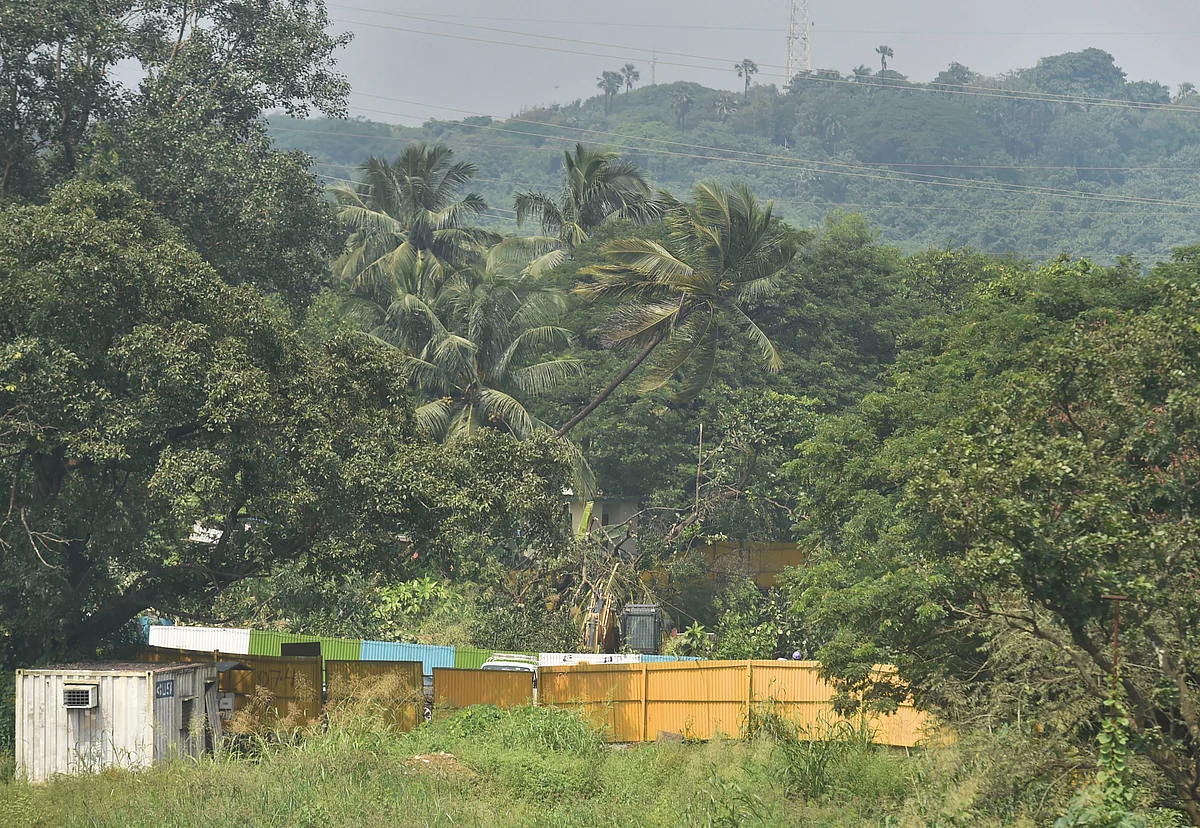Trees cut down at Aarey for a metro car shed project.