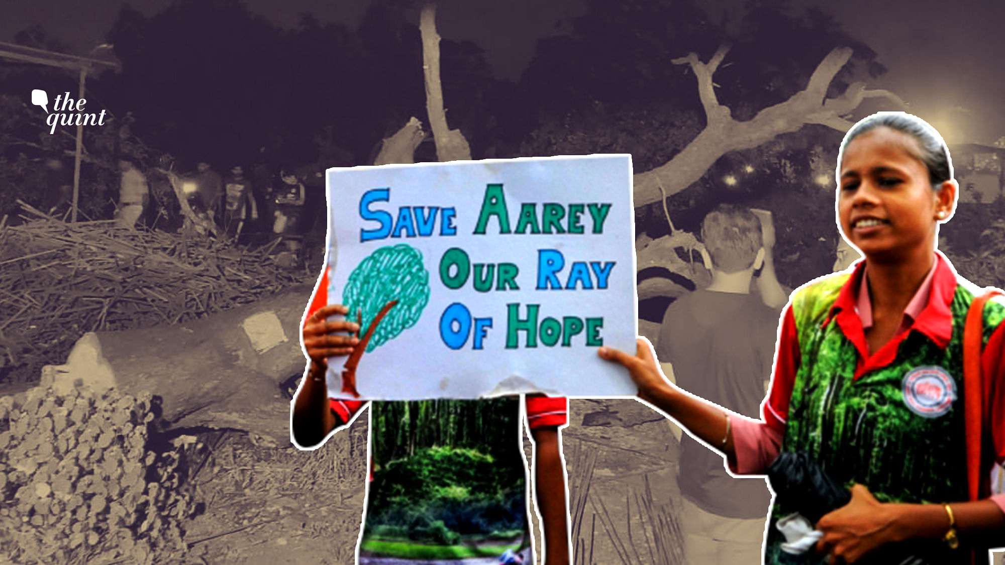 Bombay High Court dismissed all petitions against felling of over 2,600 trees in Aarey on Friday, 4 October.